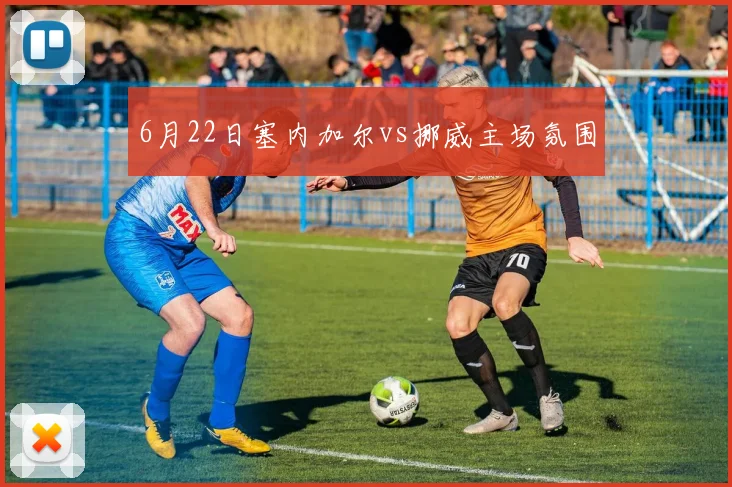 6月22日塞内加尔vs挪威主场氛围