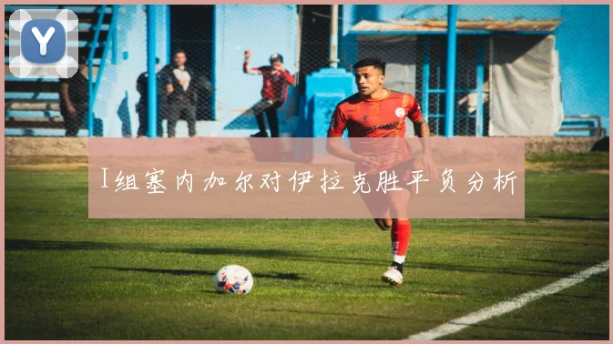 I组塞内加尔对伊拉克胜平负分析