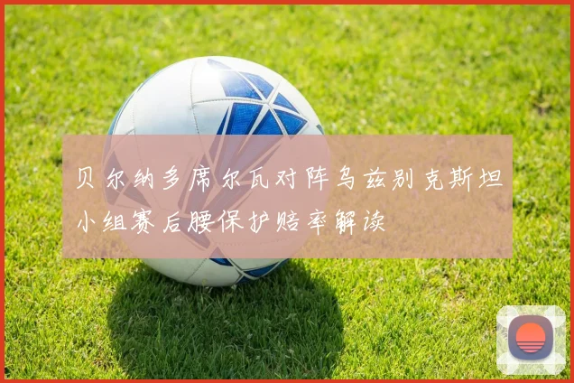 贝尔纳多席尔瓦对阵乌兹别克斯坦小组赛后腰保护赔率解读