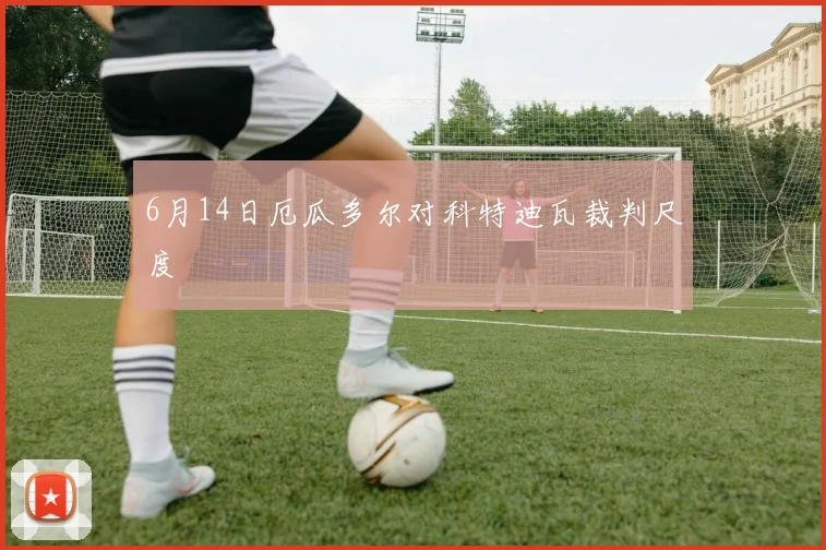 6月14日厄瓜多尔对科特迪瓦裁判尺度