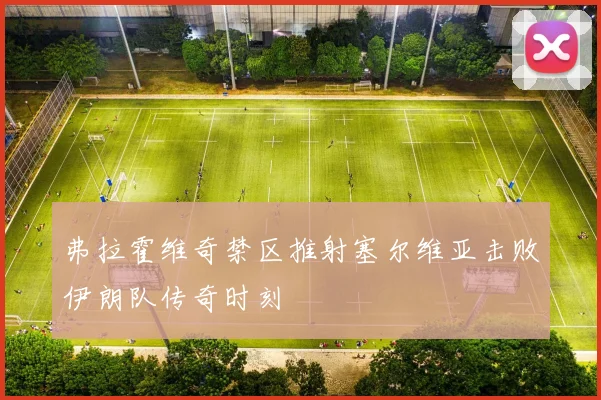 弗拉霍维奇禁区推射塞尔维亚击败伊朗队传奇时刻